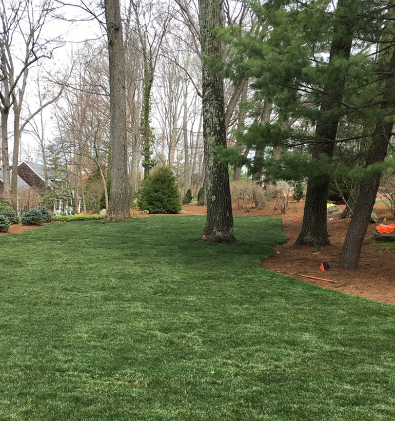 Project 3 after landscaping
