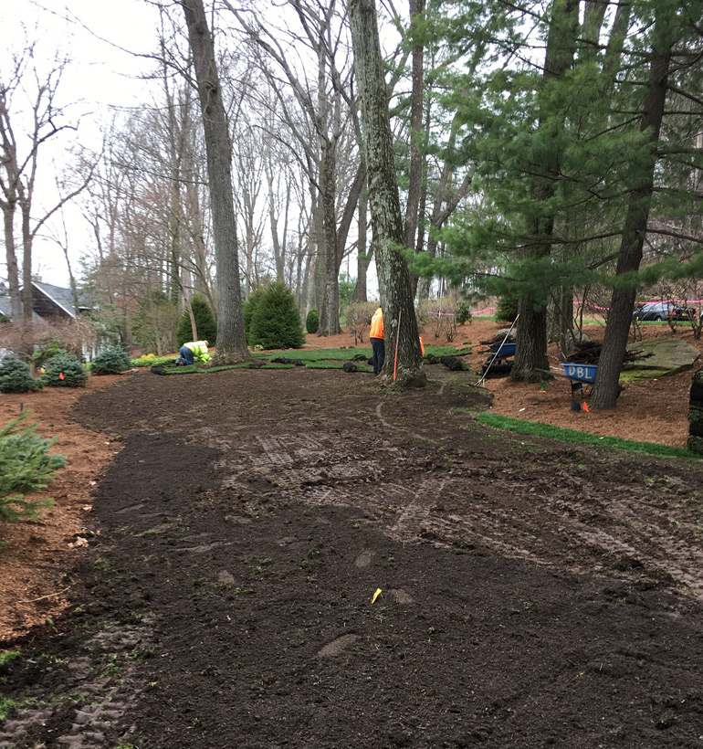 Project 3 before landscaping