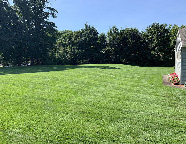 Fertilization Program
