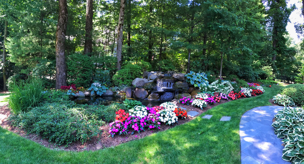 Beautifully maintained garden and lawn