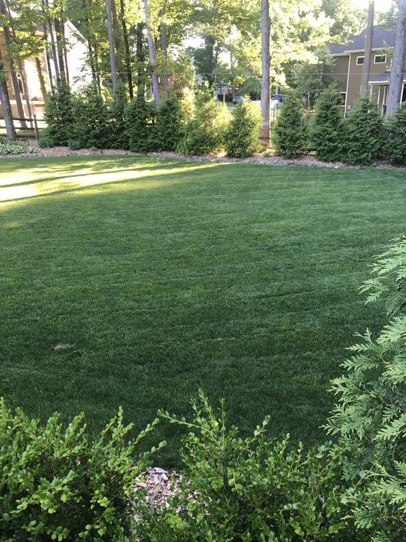 DeBoer grounds maintenance project