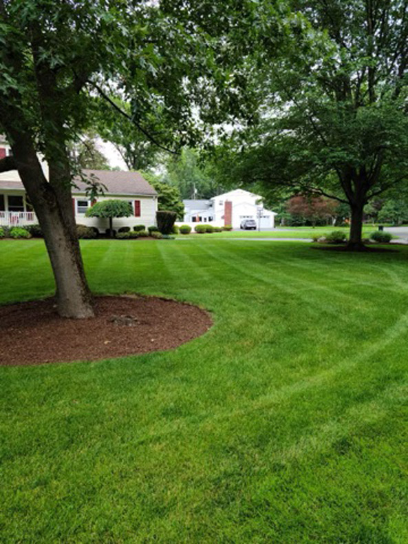 DeBoer grounds maintenance project
