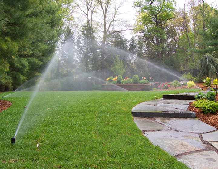 Irrigation project detail