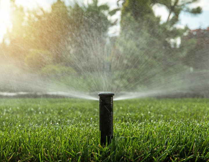 Irrigation project detail
