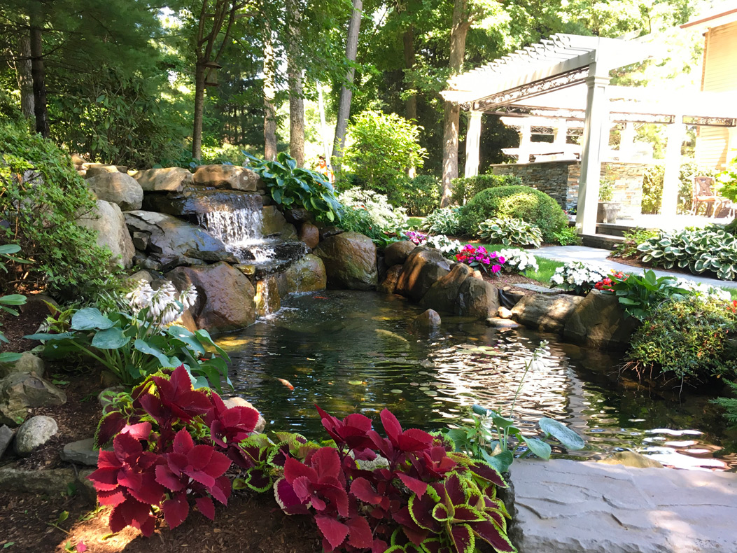 Ponds & Waterfalls project detail